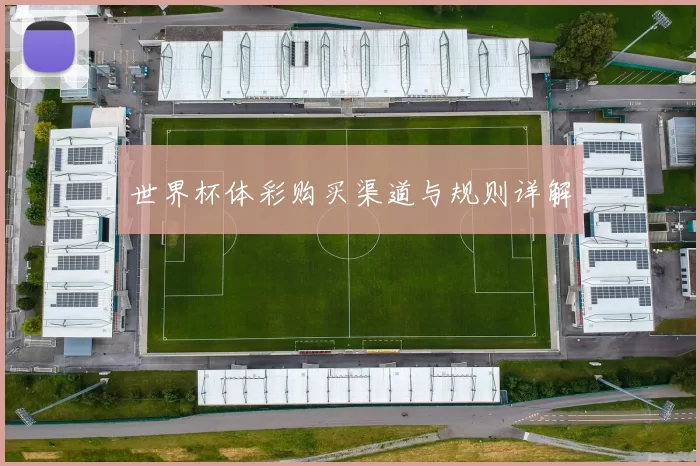 世界杯体彩购买渠道与规则详解
