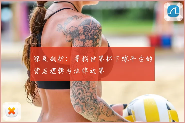 深度剖析:寻找世界杯下球平台的背后逻辑与法律边界
