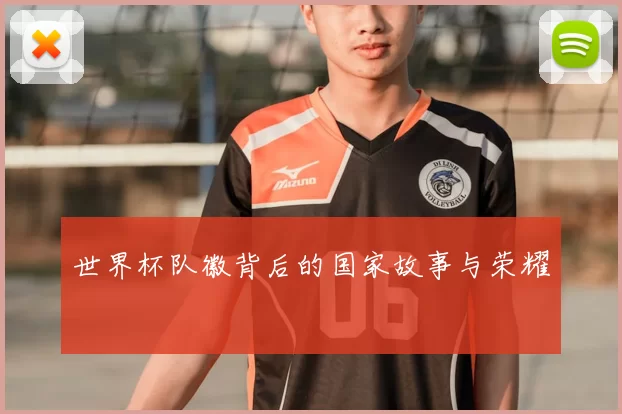 世界杯队徽背后的国家故事与荣耀