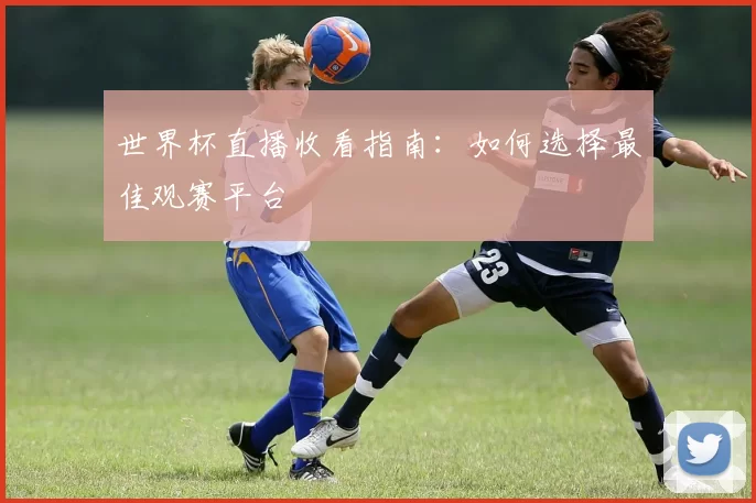 世界杯直播收看指南：如何选择最佳观赛平台