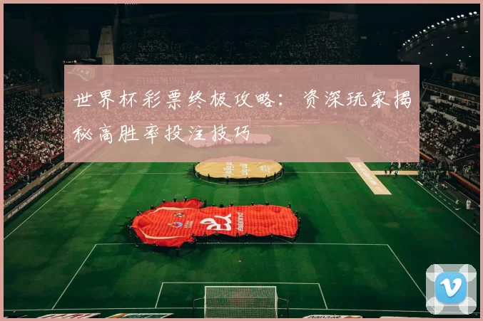 世界杯彩票终极攻略：资深玩家揭秘高胜率投注技巧