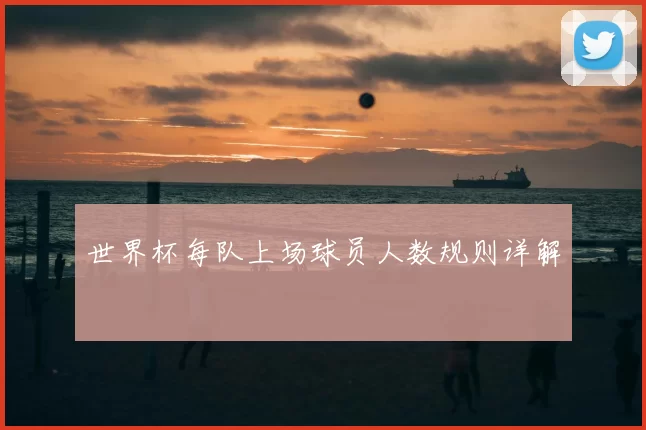 世界杯每队上场球员人数规则详解
