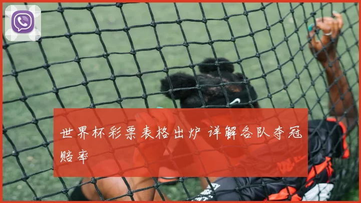 世界杯彩票表格出炉 详解各队夺冠赔率