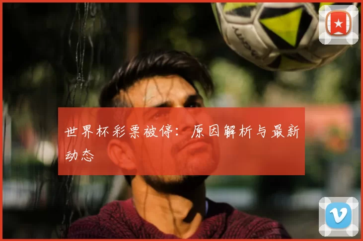 世界杯彩票被停：原因解析与最新动态