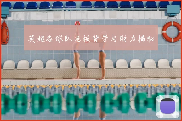 英超各球队老板背景与财力揭秘