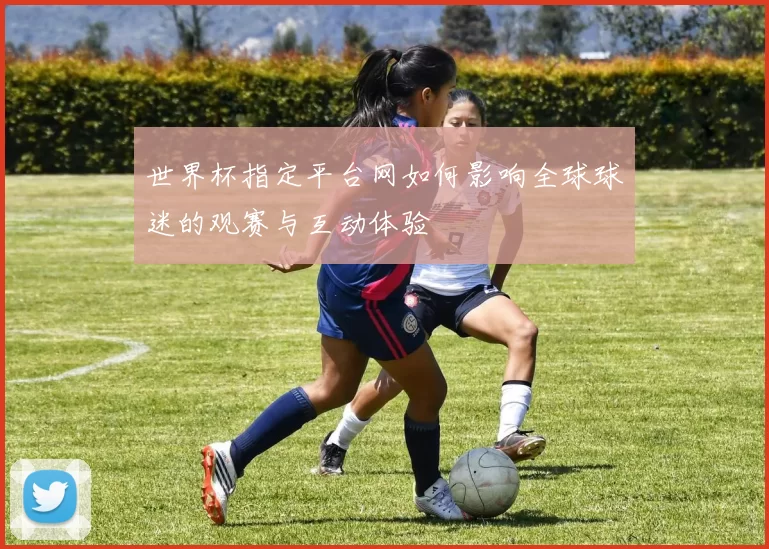 世界杯指定平台网如何影响全球球迷的观赛与互动体验