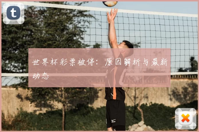 世界杯彩票被停：原因解析与最新动态