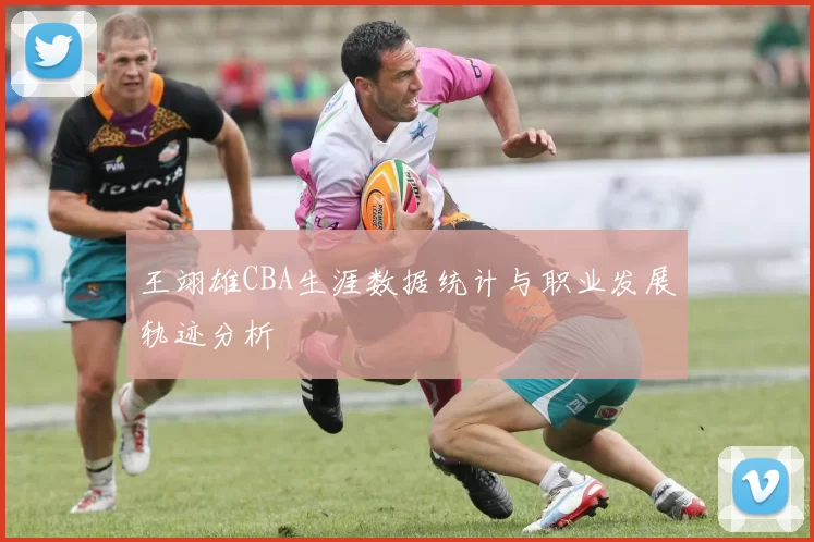 王翊雄CBA生涯数据统计与职业发展轨迹分析