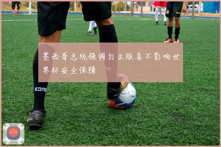 墨西哥总统强调打击贩毒不影响世界杯安全保障