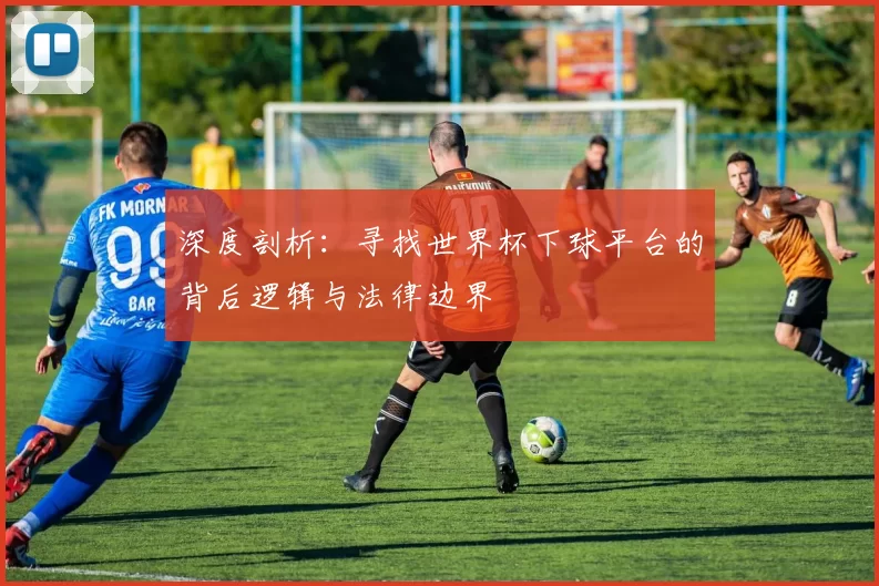 深度剖析：寻找世界杯下球平台的背后逻辑与法律边界