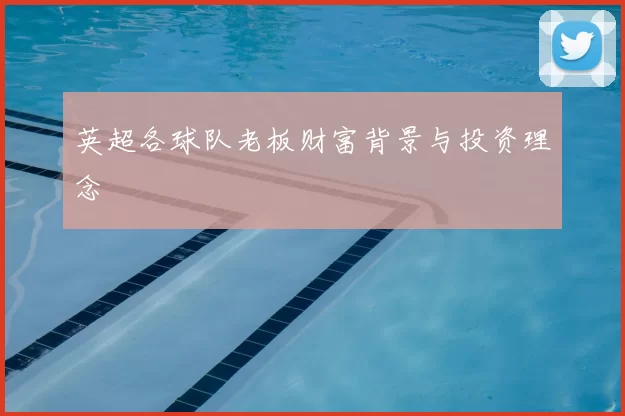 英超各球队老板财富背景与投资理念